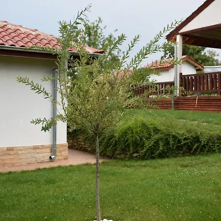 Луксозна вила две Кирково