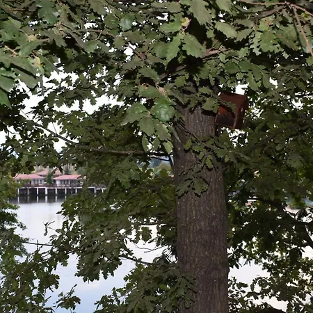 две Луксозна вила *