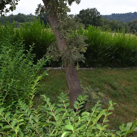 две * Кирково