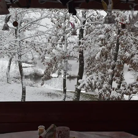 две Луксозна вила *