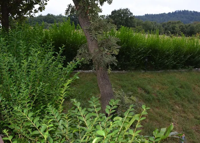 Two * Κίρκοβο